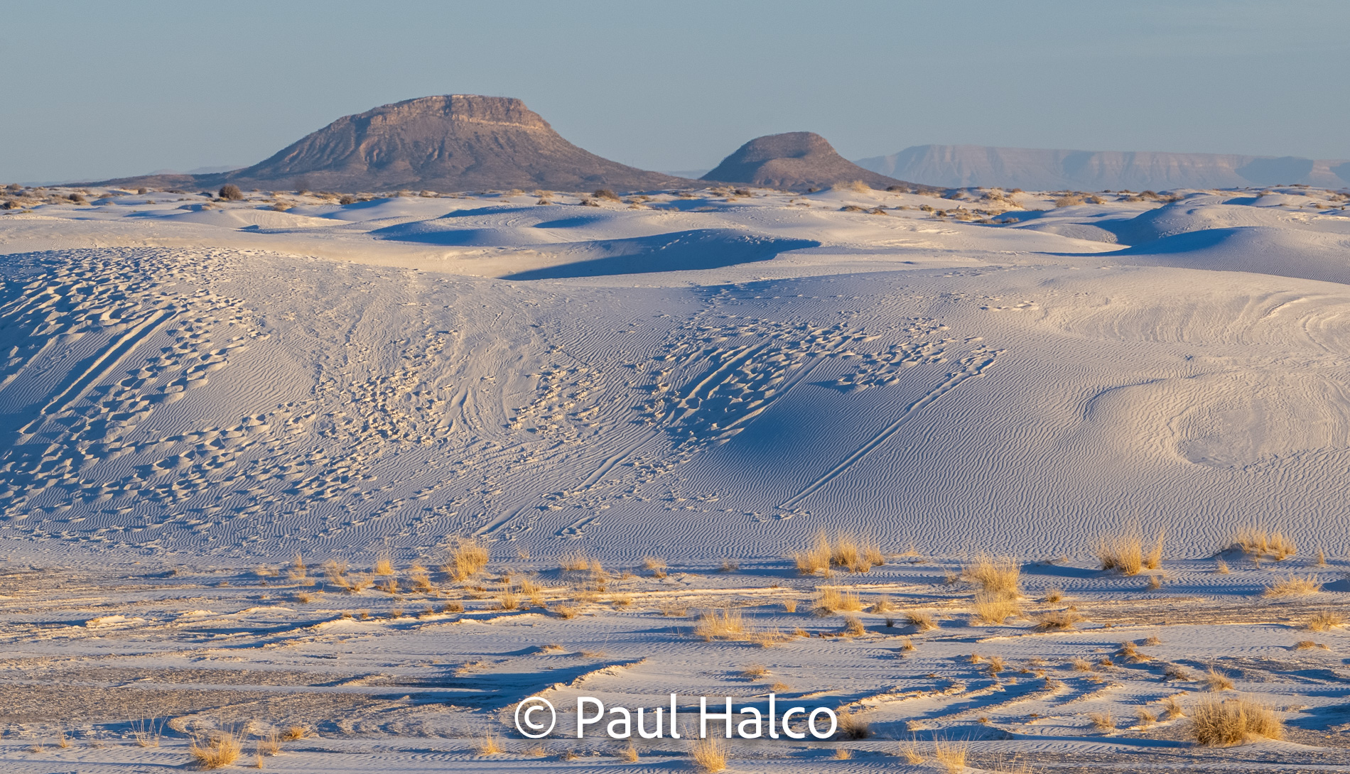 Paul Halco - White Sands NP-10